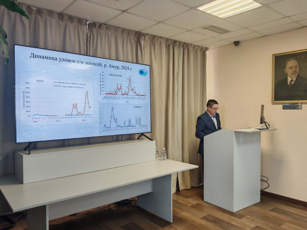 28 января в Хабаровском филиале ГНЦ РФ ФГБНУ ВНИРО прошла отчетная сессия по итогам научно-исследовательских работ